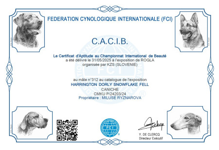 CACIB Rogla 31.5.2025